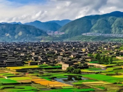 兰陵县商务局助力乡村振兴，推动经济高质量发展